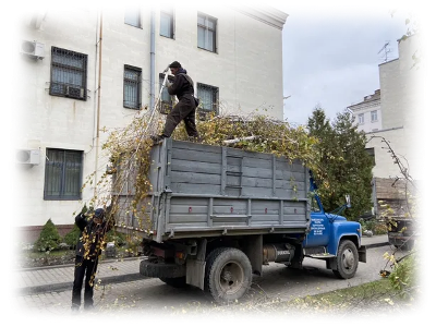 Movers Киев - Вывоз и уборка листьев Киев